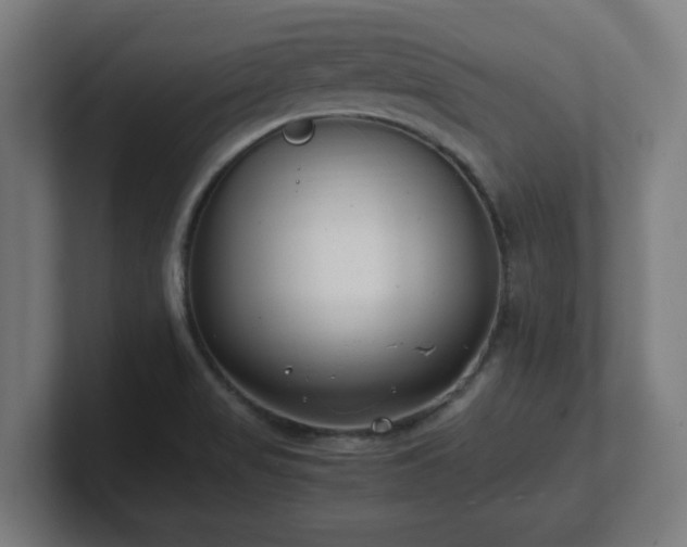 X0000101661517200807171303