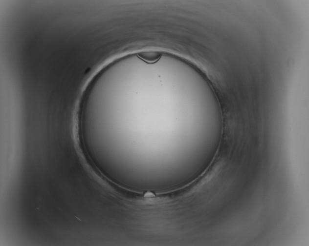 X0000101661518200807171303