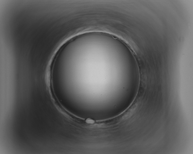 X0000101661519200807171303