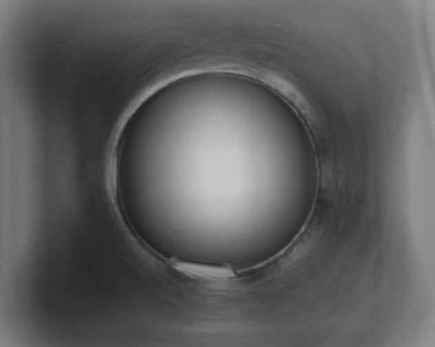 X0000101661520200807171303