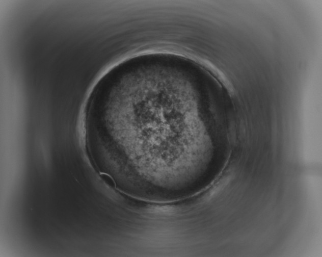 X0000101661522200807171303