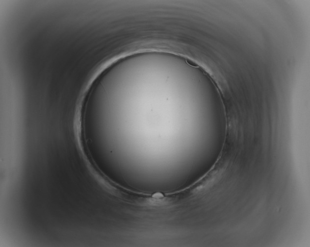 X0000101661523200807171303