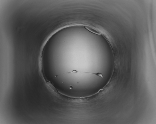 X0000101661524200807171303