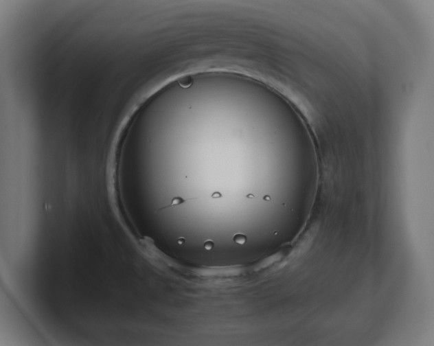 X0000101661525200807171303