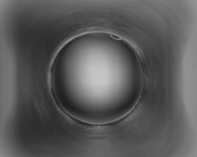 X0000101661527200807171303