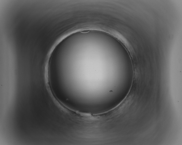 X0000101661528200807171303