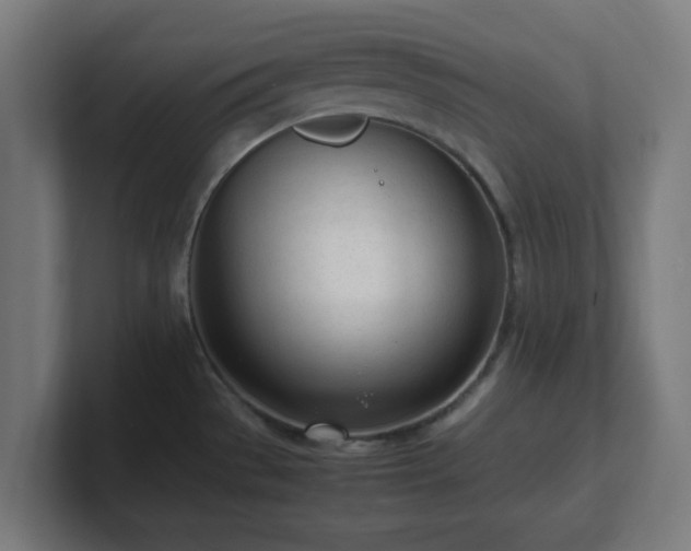 X0000101661529200807171303