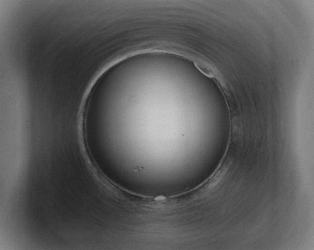 X0000101661530200807171303