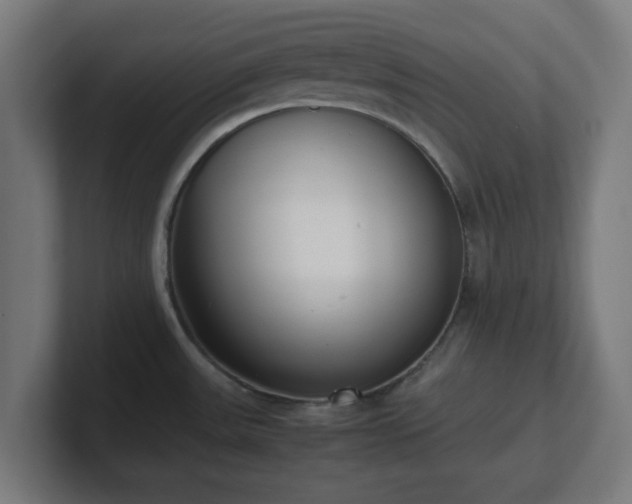 X0000101661531200807171303