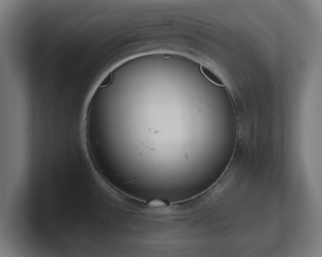 X0000101661532200807171303