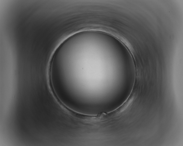 X0000101661533200807171303