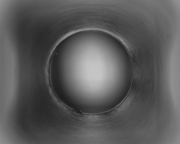 X0000101661534200807171303