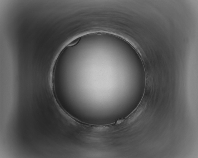 X0000101661535200807171303