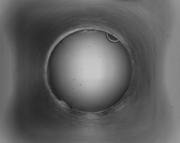 X0000101661536200807171303