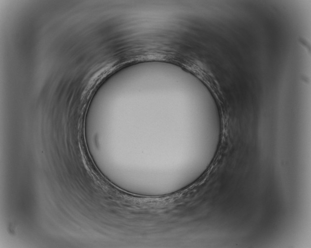 X0000101660001200807241428