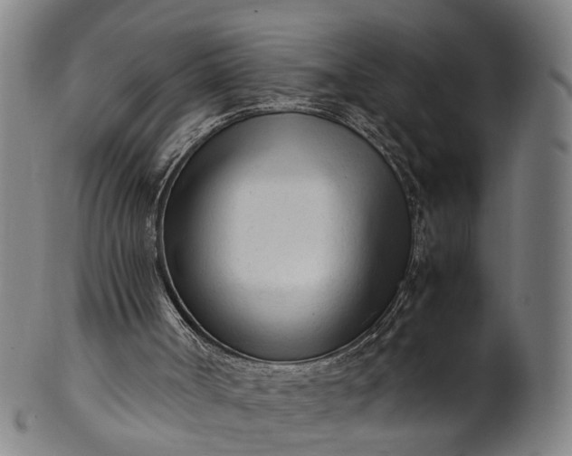 X0000101660002200807241428