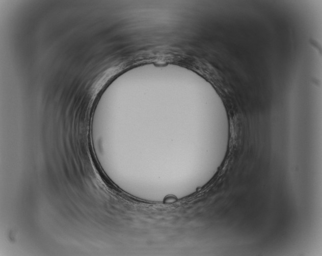 X0000101660003200807241428