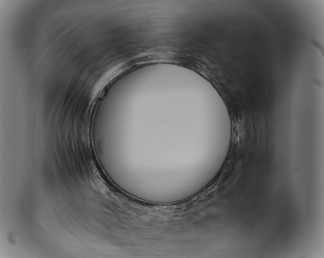 X0000101660004200807241428