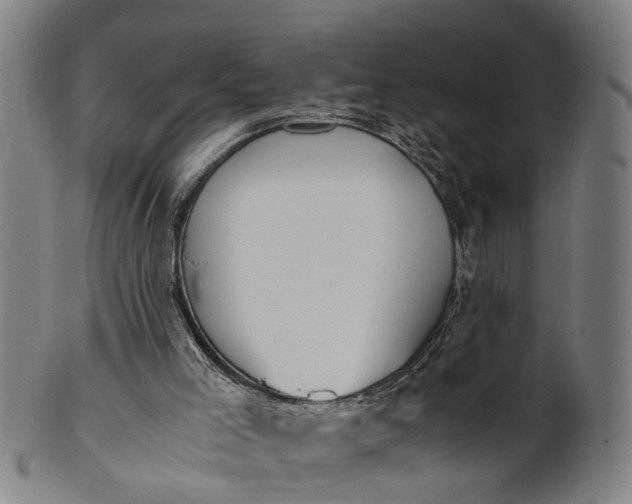 X0000101660005200807241428