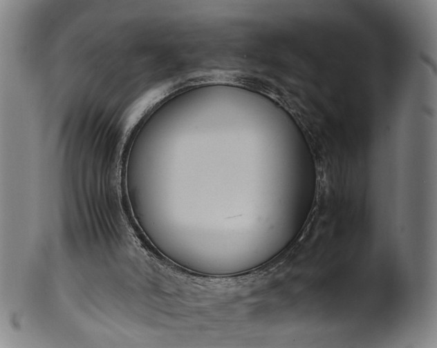 X0000101660006200807241428