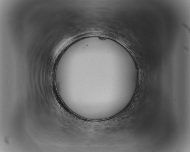 X0000101660007200807241428