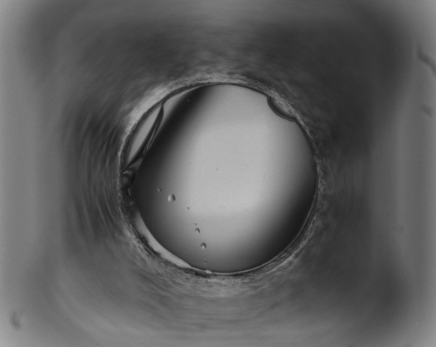 X0000101660008200807241428