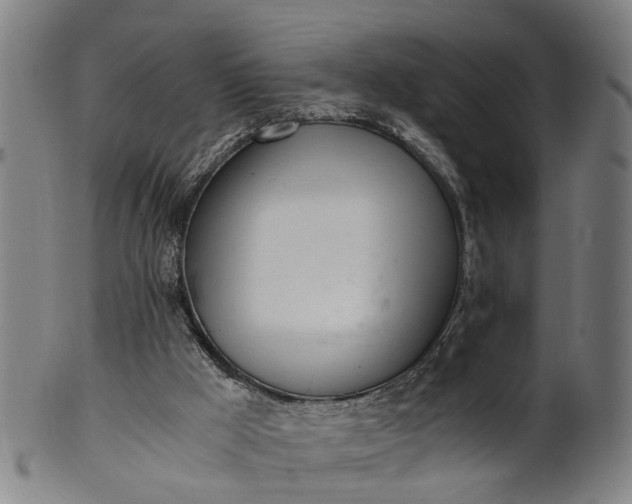 X0000101660009200807241428