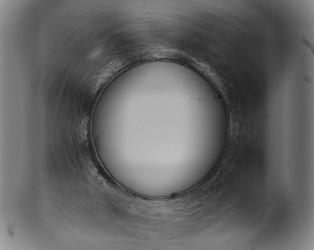 X0000101660010200807241428