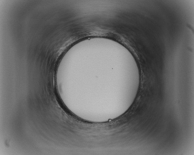 X0000101660011200807241428