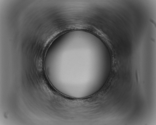 X0000101660012200807241428