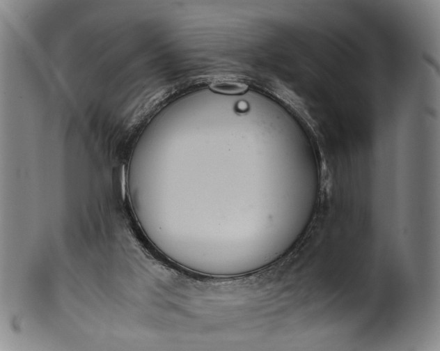 X0000101660013200807241428