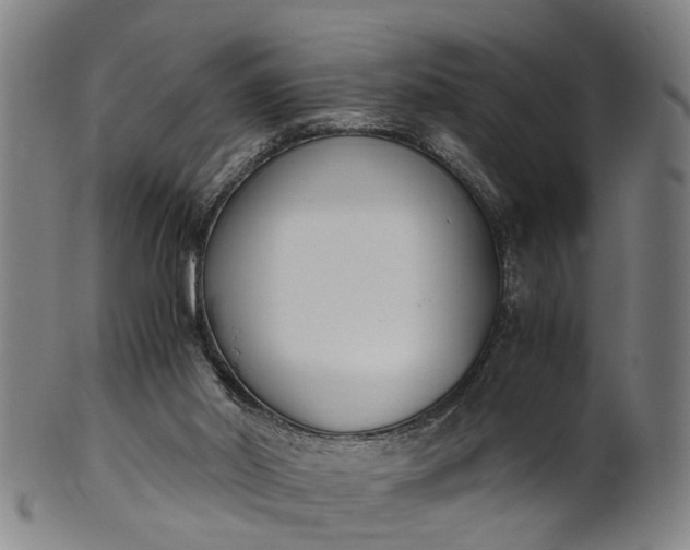 X0000101660014200807241428