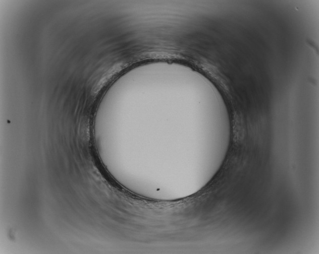 X0000101660015200807241428