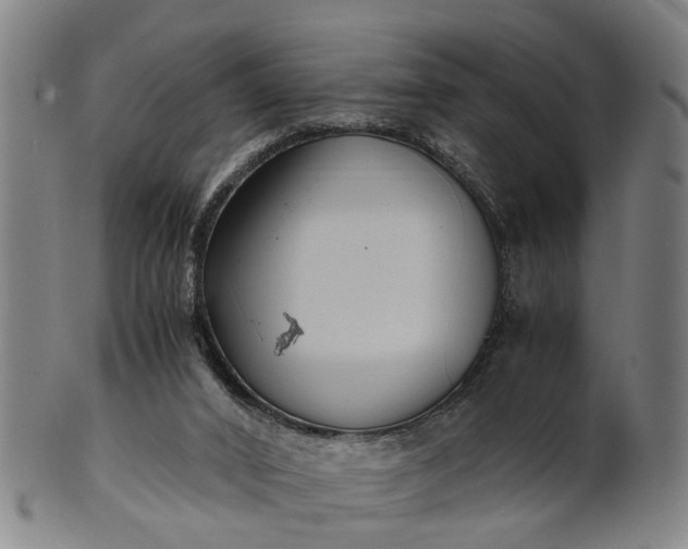 X0000101660016200807241428