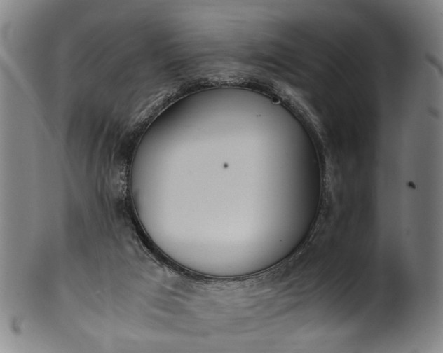 X0000101660017200807241428