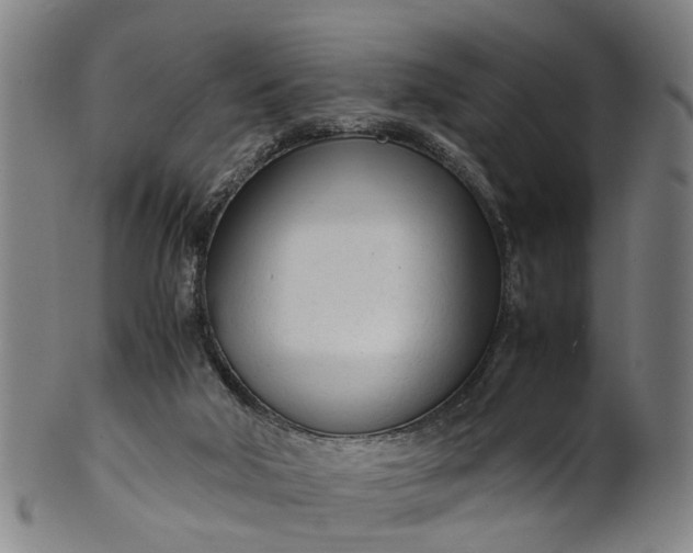 X0000101660018200807241428