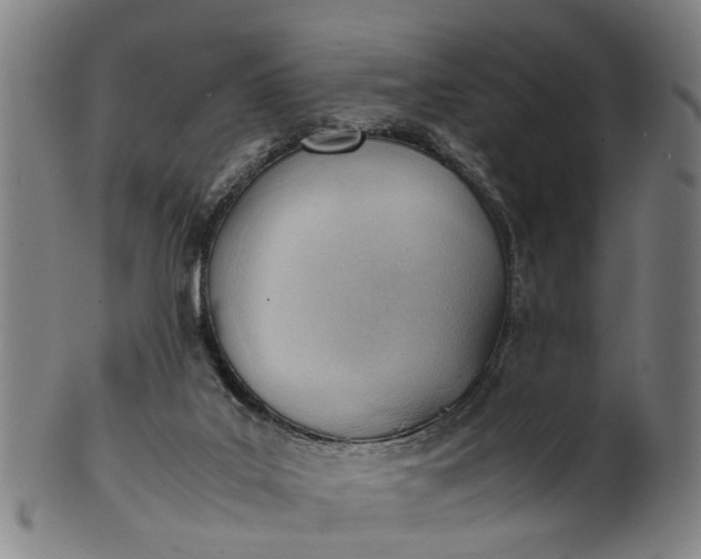 X0000101660019200807241428