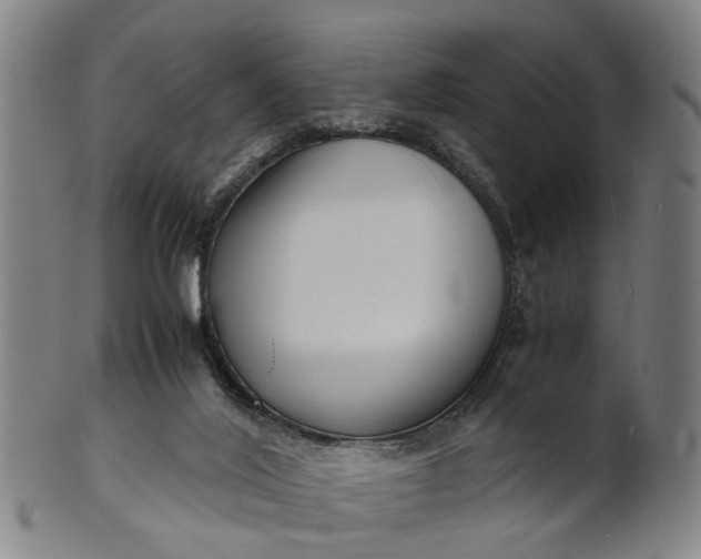 X0000101660020200807241428