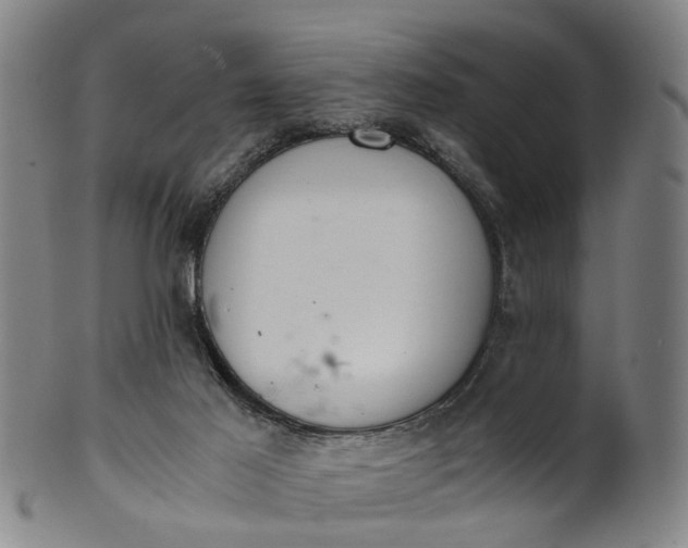 X0000101660021200807241428