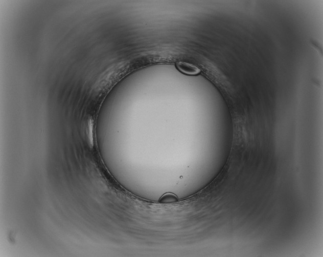 X0000101660022200807241428