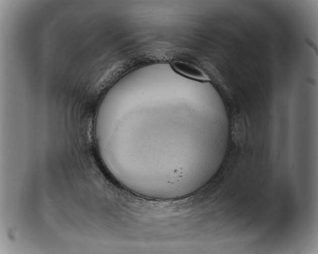 X0000101660023200807241427