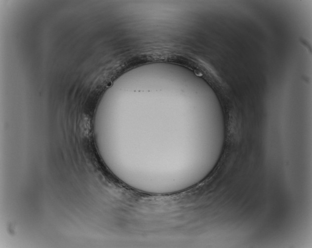 X0000101660025200807241427