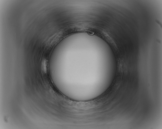 X0000101660026200807241427