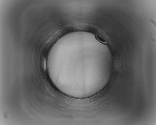 X0000101660027200807241427