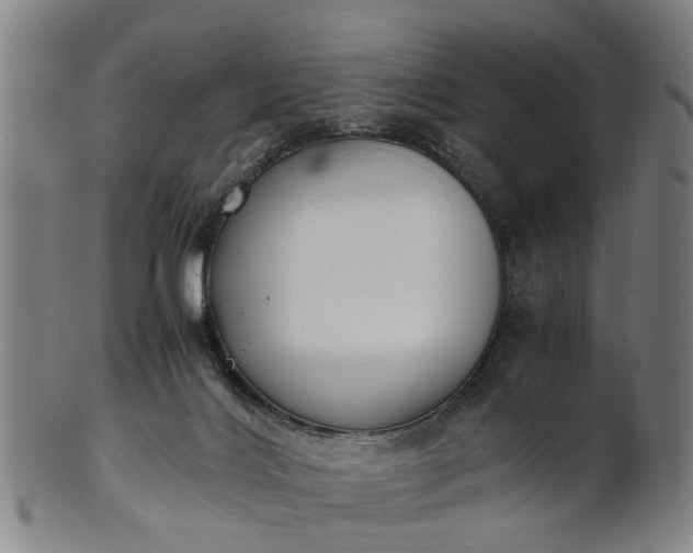 X0000101660028200807241427