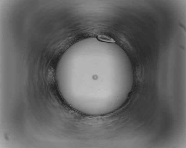 X0000101660029200807241427