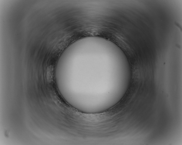 X0000101660030200807241427