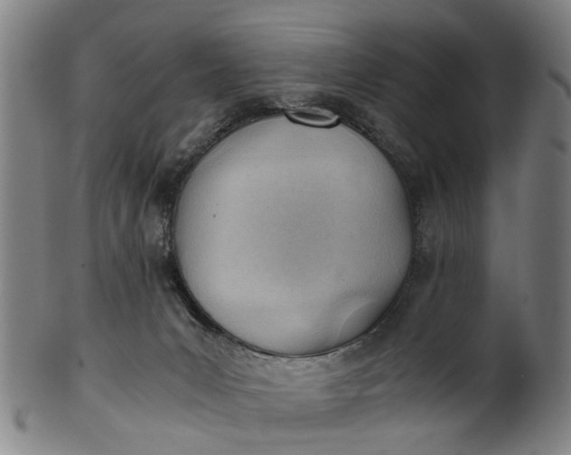 X0000101660031200807241427