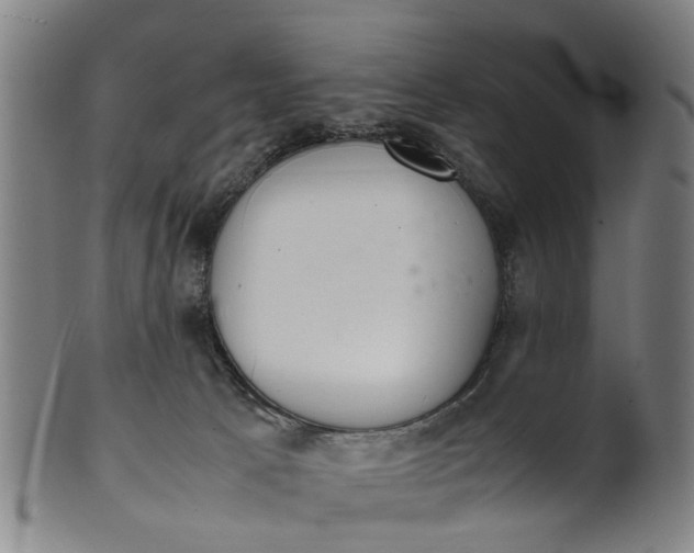 X0000101660033200807241427