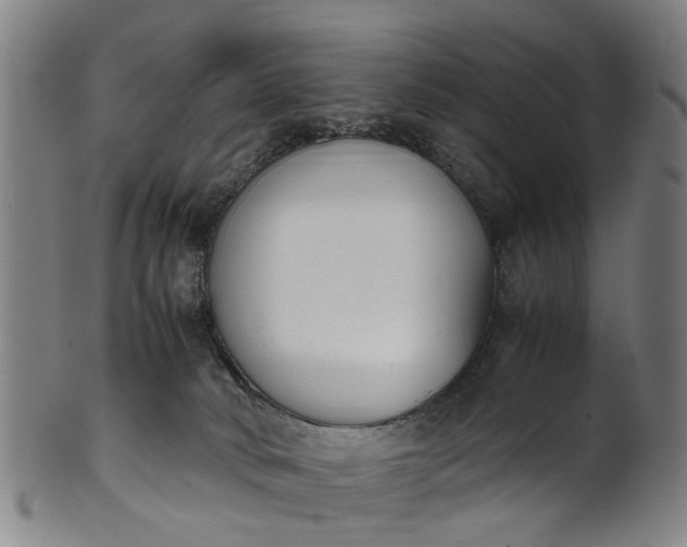 X0000101660034200807241427